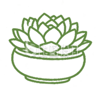 手绘多肉植物