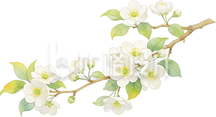 小花植物树枝手绘
