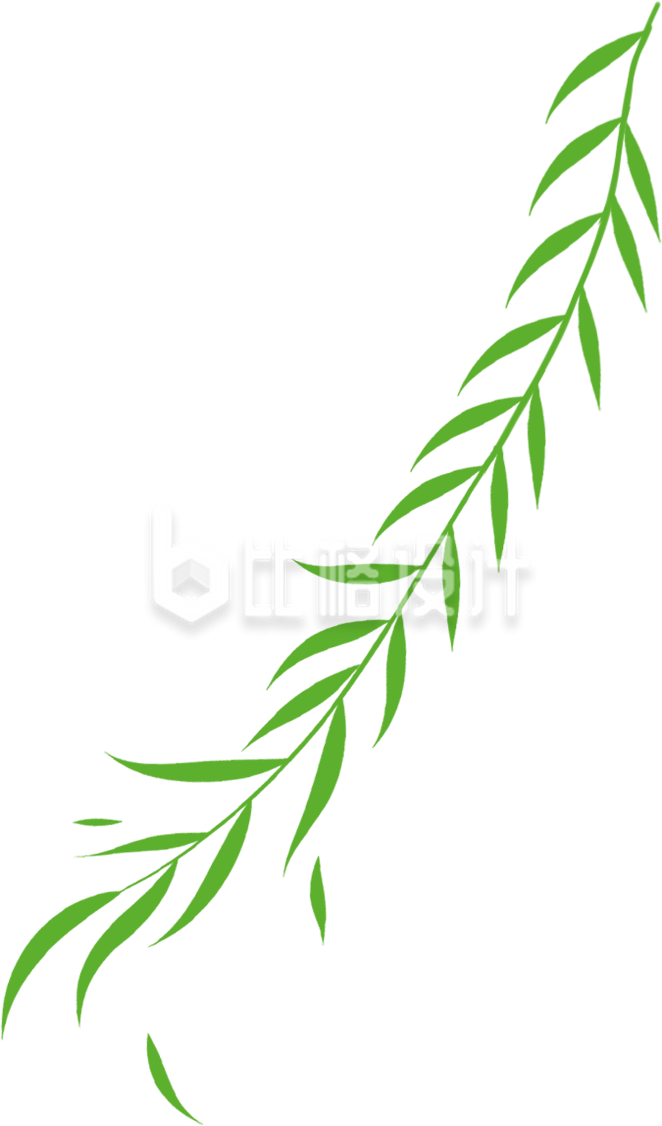 绿色柳条植物手绘