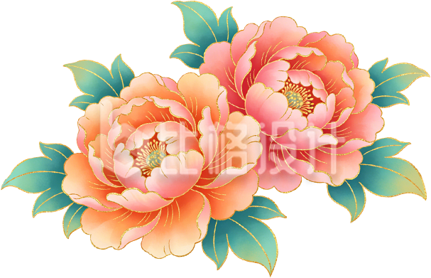 牡丹
