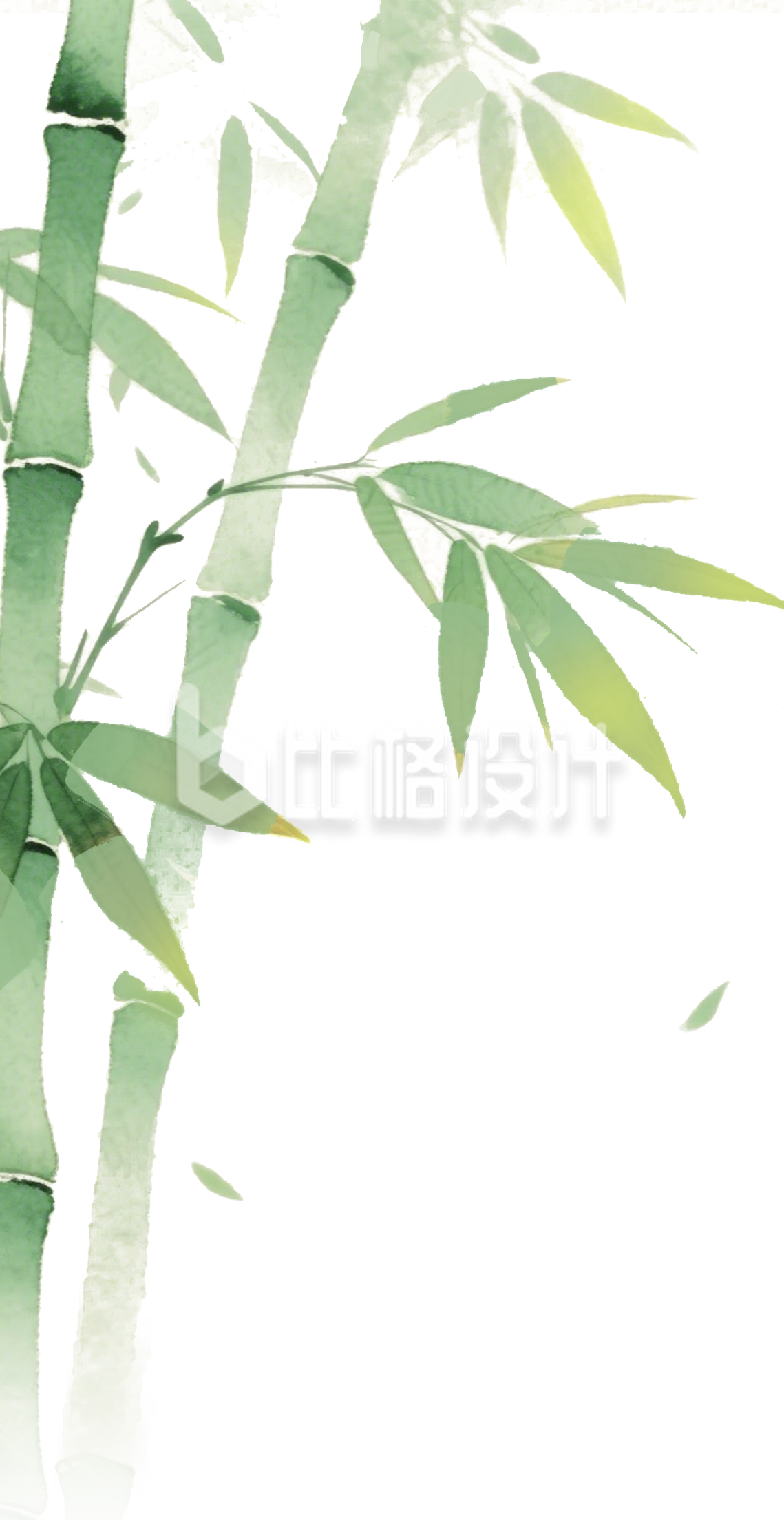 竹子竹叶