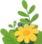 绿植植物小花手绘