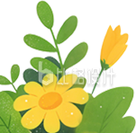 植物绿植手绘小花