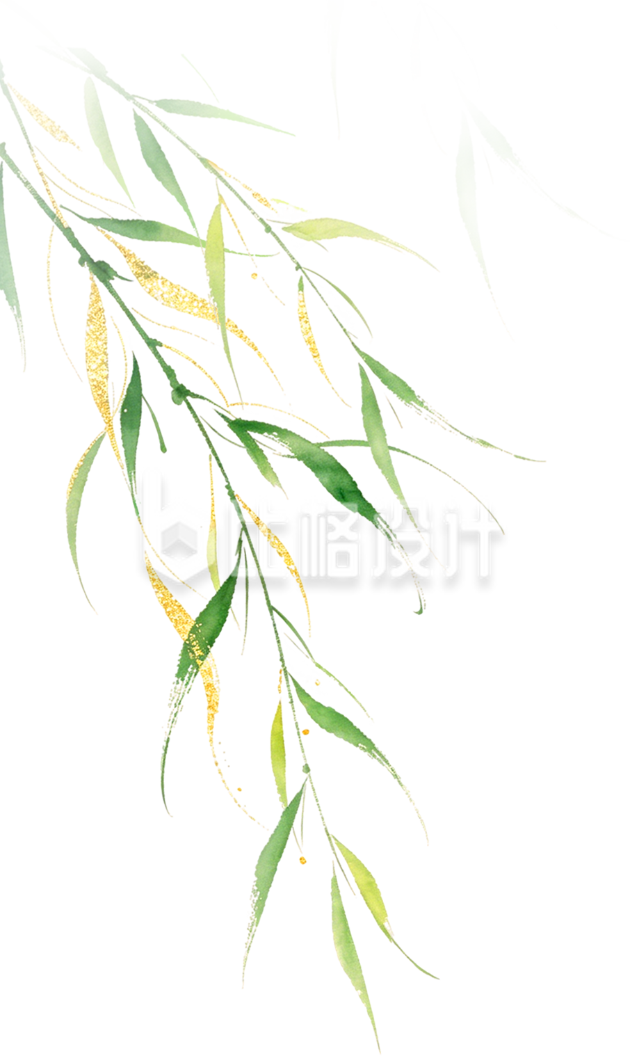 绿色水彩柳条插画