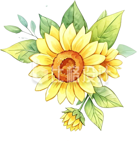 向日葵小花水彩