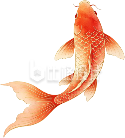 锦鲤水彩手绘
