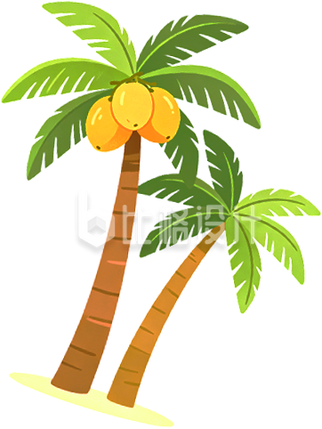 椰子树植物手绘