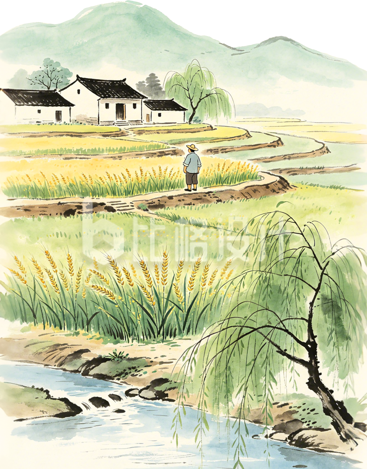 小麦梯田小草植物手绘