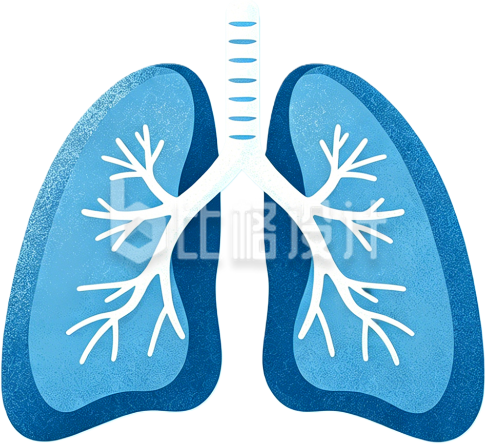 肺部蓝色手绘医疗器官