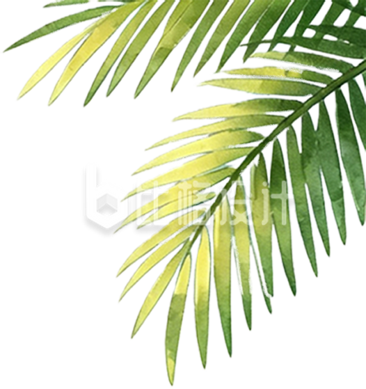 绿色植物树叶水彩手绘