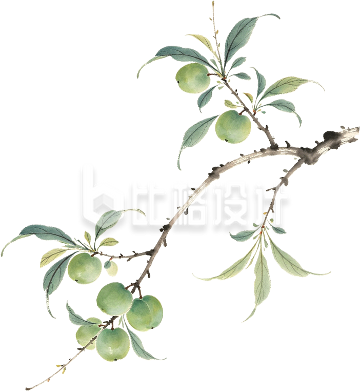 手绘青梅树枝
