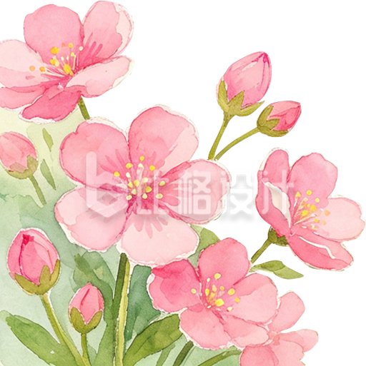 手绘粉色鲜花