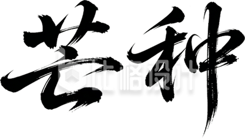 手绘芒种艺术字