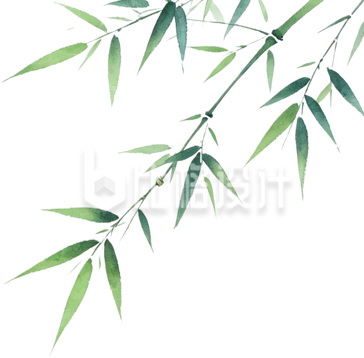 手绘竹叶
