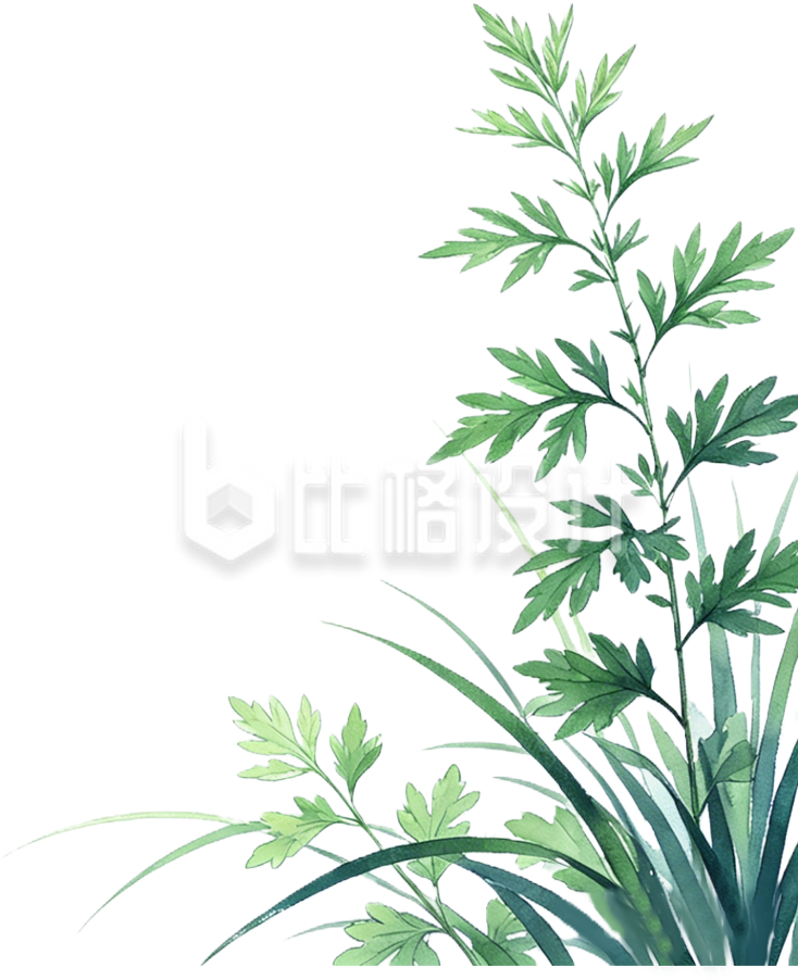 手绘艾草