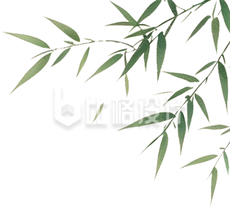 手绘竹叶